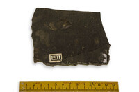 F 00231
<br/>
<br/>
<em></em>